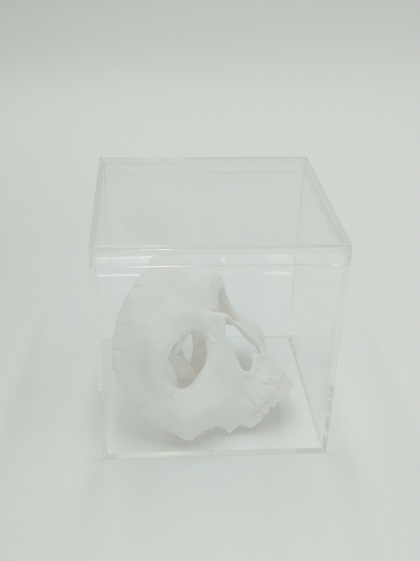 Call of Duty Ghost Mask Skull Miniature Collectible W/Display case 3" 3d printed